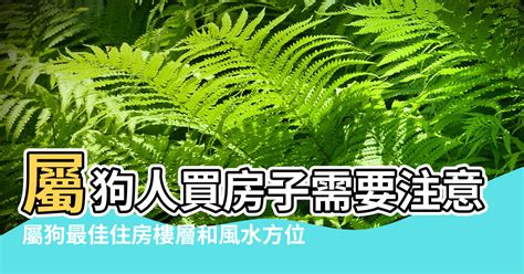 屬狗樓層|屬狗最佳住房樓層和風水方位